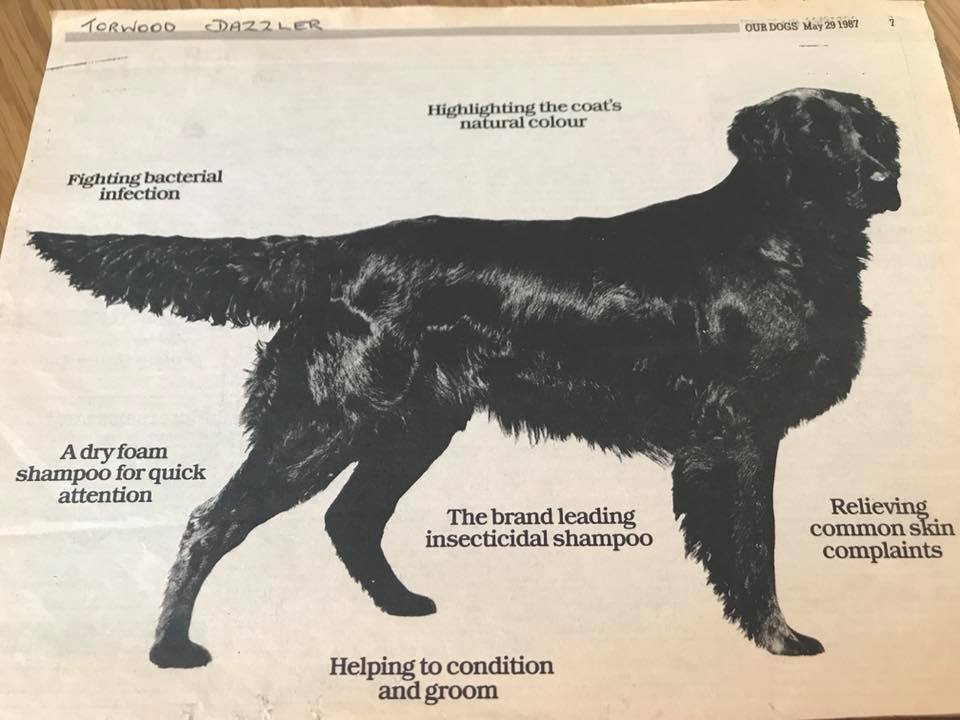 En stille Racedræber